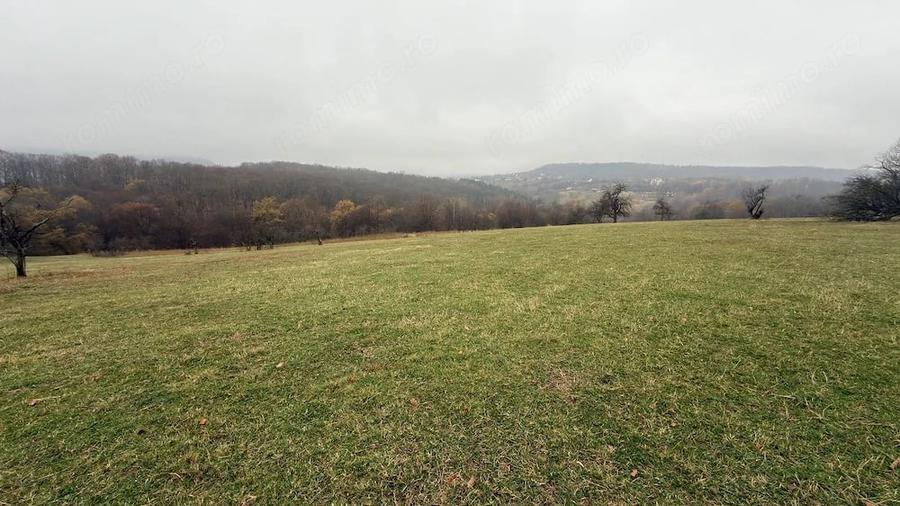 Teren deosebit 3,5HA zona Cisnadioara - 3