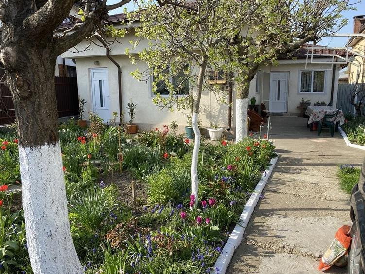 Casă cu 3 camere în Exterior Vest
