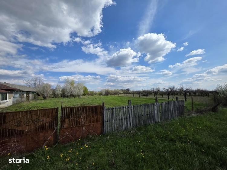 Casă cu 3 camere cu Teren 20000 Mp în Leleasca