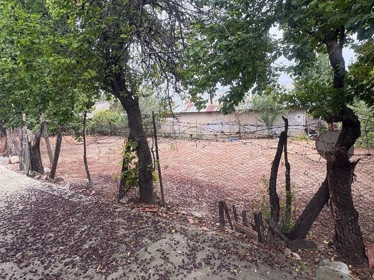 Casă cu Teren 2000 Mp în Prundu