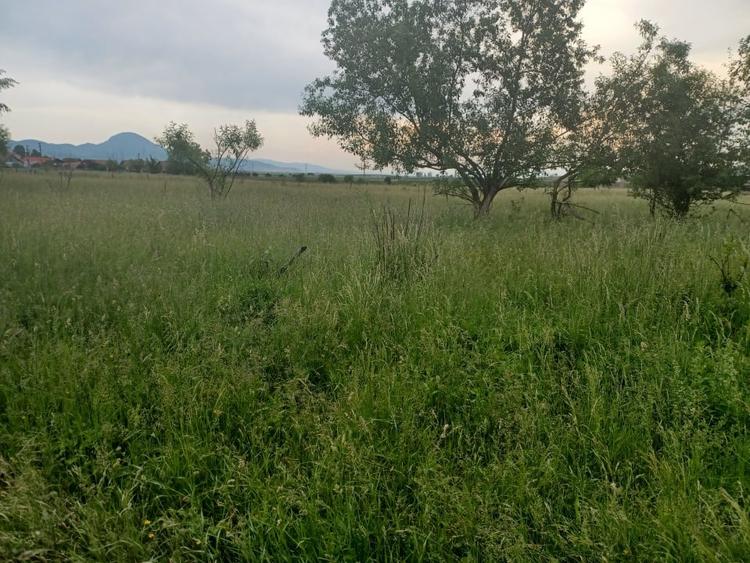Teren Construcții intravilan de 10500 mp, în Exterior Nord