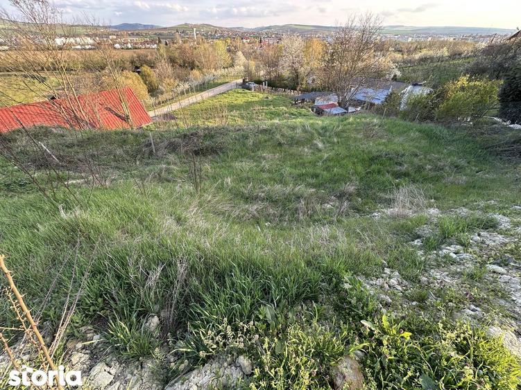 Teren intravilan de vanzare Custelnic, Tarnaveni - 9