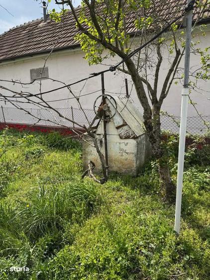 Teren intravilan cu casa batraneasca in vatra satului Dragsina - 3
