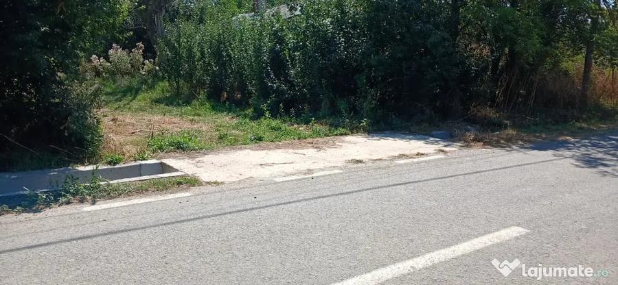 Teren de 2632 mp, în Misleanu