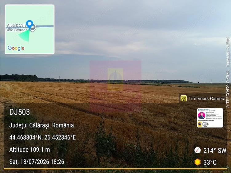 Teren de 21000 mp, în Belciugatele