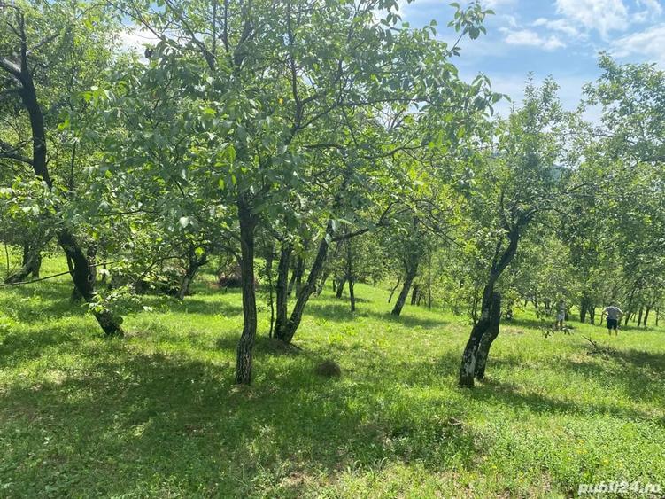Teren de 8000 mp, în Telega