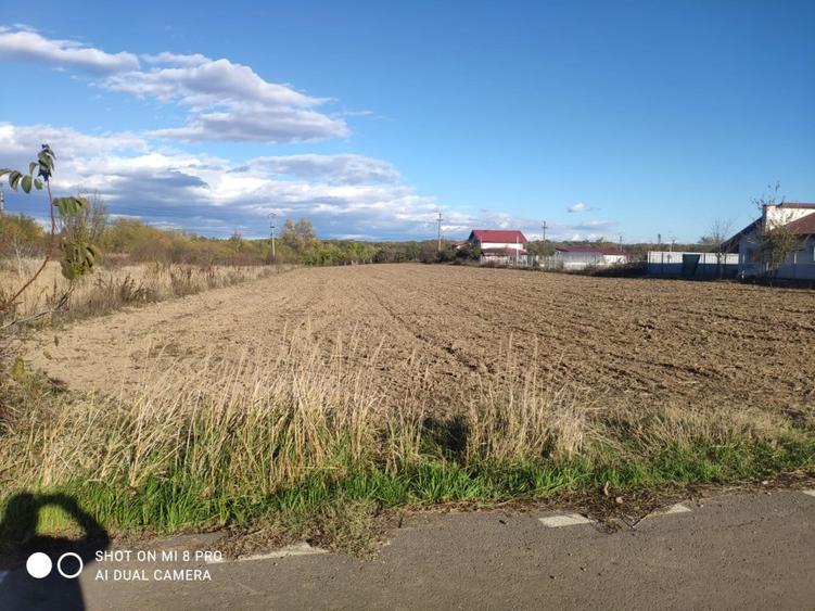 Teren Construcții intravilan de 4015 mp, în Ghermănești