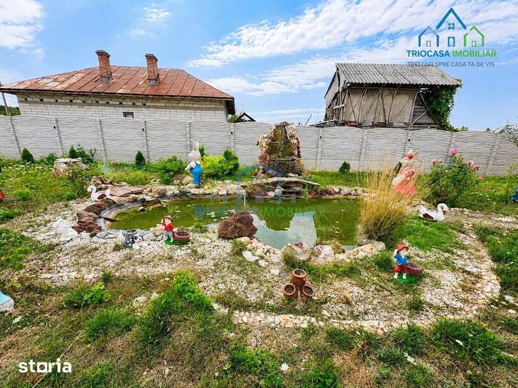 Casă cu 3 camere cu Teren 1000 Mp în Murgași