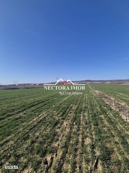 NECTORA IMOB-Teren Intravilan 537 mp, Zona Solay, 250 m de asfalt - 2