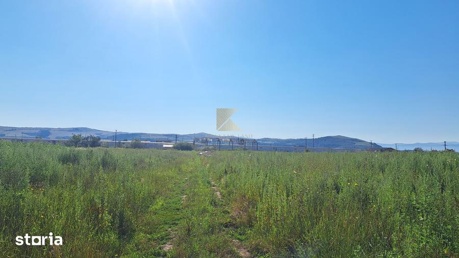Teren de 20000 mp, în Bod