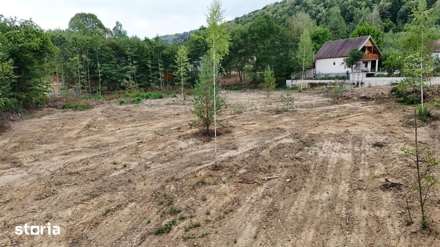 Teren de 5000 mp, în Central