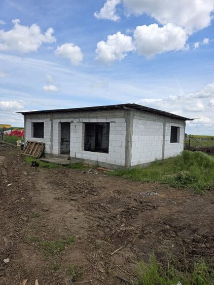 Casă cu 3 camere în Vidra