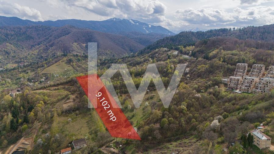Teren Construcții intravilan de 9102 mp, în Drumul Poienii
