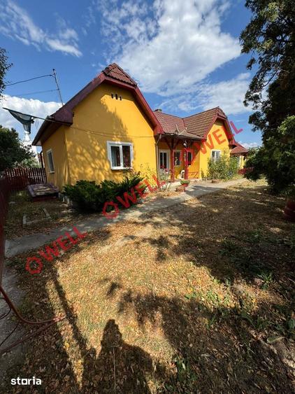 Casă cu Teren 4669 Mp în Boroșneu Mare