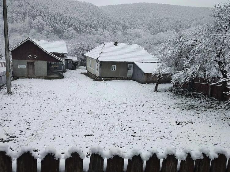 Casă cu Teren 3000 Mp în Coza