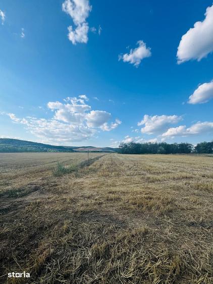 Teren de 520 mp, în Oșorhei