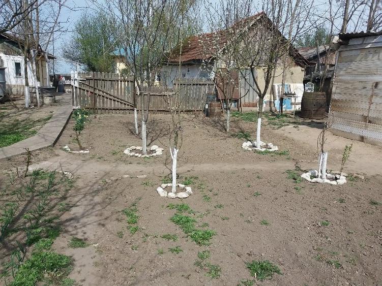 Casă cu 4 camere cu Teren 3210 Mp în Constantinești