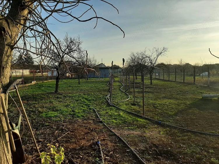 Casă cu 3 camere cu Teren 1600 Mp în Central