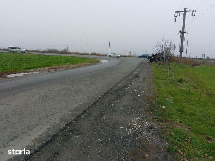 Teren de 10000 mp, în Lumina