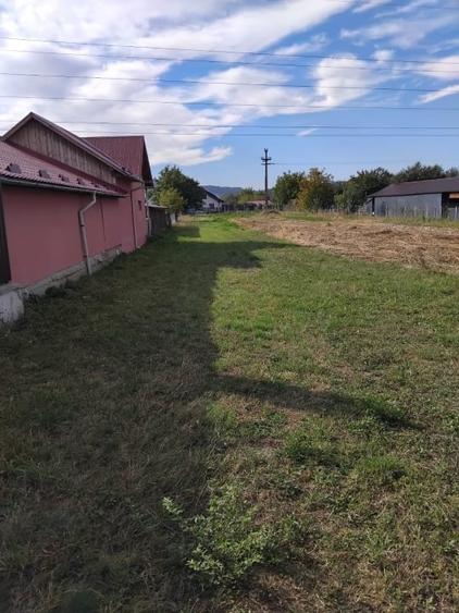 Teren Construcții intravilan de 2600 mp, în Livezile