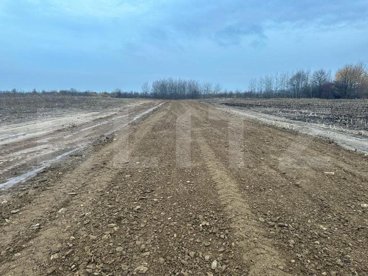 Teren Construcții intravilan de 15000 mp, în Marginea