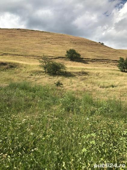 Teren de 11500 mp, în Micăsasa