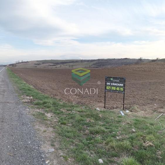 Teren Construcții intravilan de 33500 mp, în Măieruș