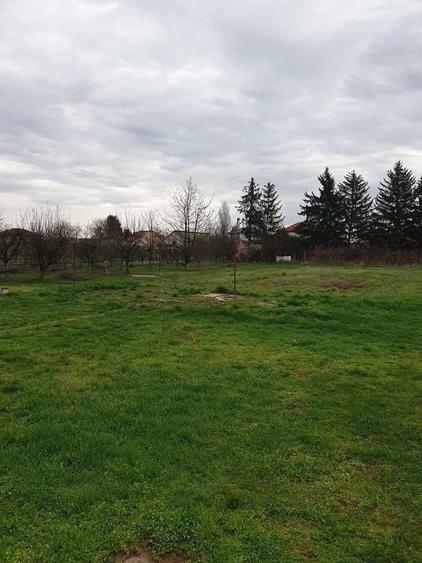 Casă cu Teren 2800 Mp în Mărtinești
