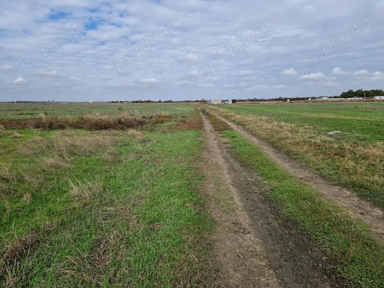 Teren de 615 mp, în Clinceni