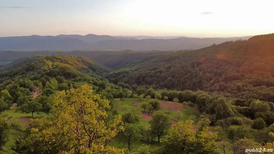 Teren de 2000 mp, în Brusturi