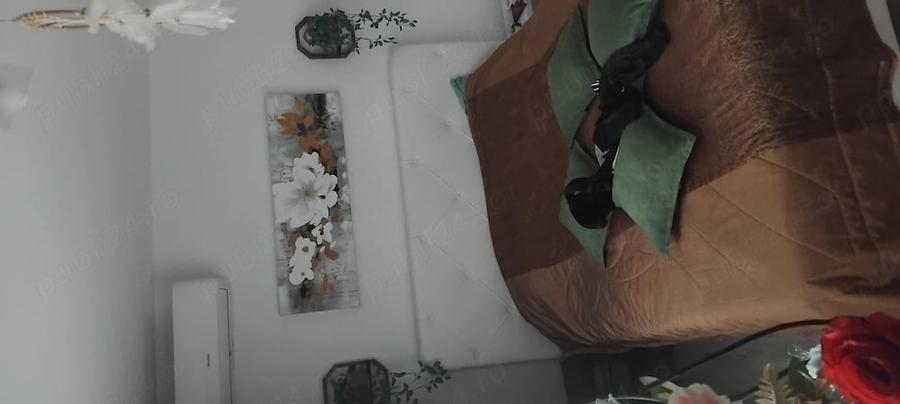 Apartament cu 2 camere semidecomandat în Cina