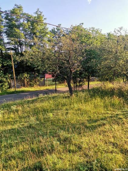 Teren de 2700 mp, în Dobreni