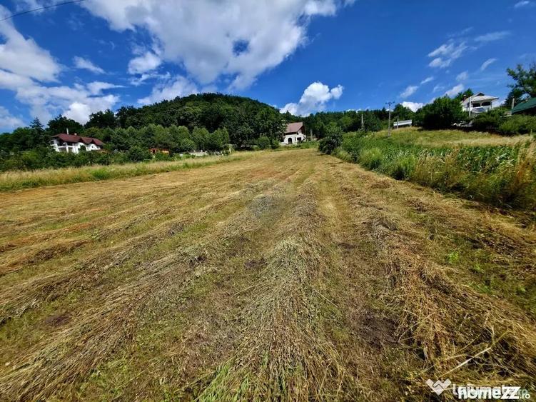 Teren în Viișoara