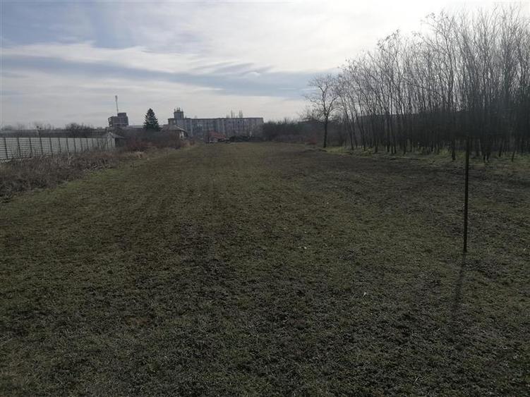 Teren intravilan de 5000 mp, în Jilava