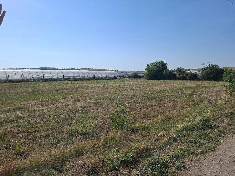 Teren de 2500 mp, în Corod