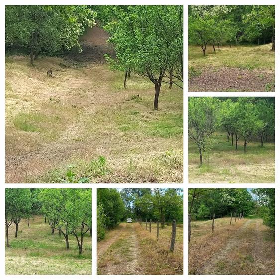 Teren de 6000 mp, în Stoilești