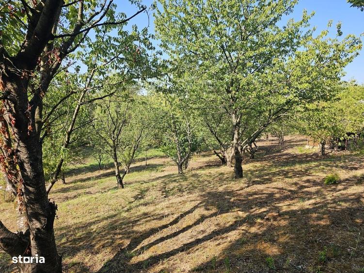 Casă cu 4 camere cu Teren 3000 Mp în Nicolina