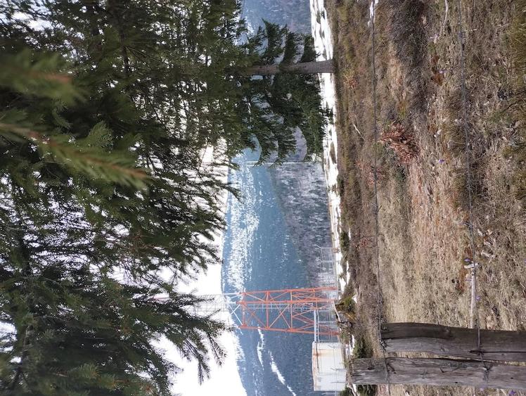Teren de 5000 mp, în Vârtop