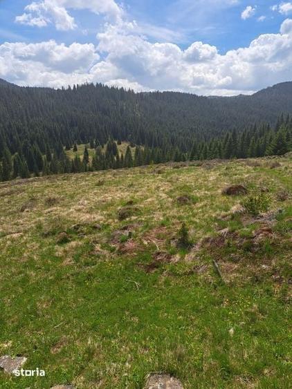 Teren de 5 mp, în Beliș