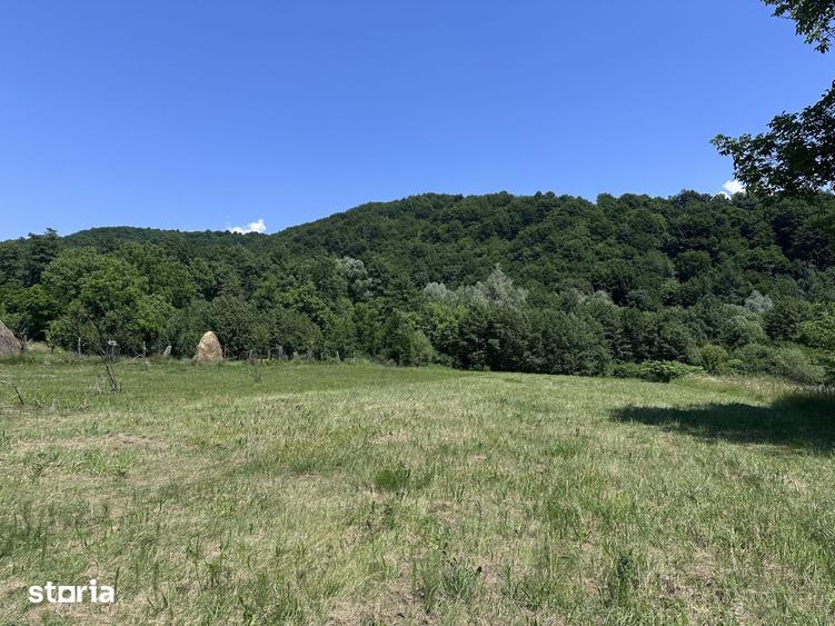 Investitie Turism | Casa | 5164 mp teren | Lac Propriu | Malu cu Flori - 4