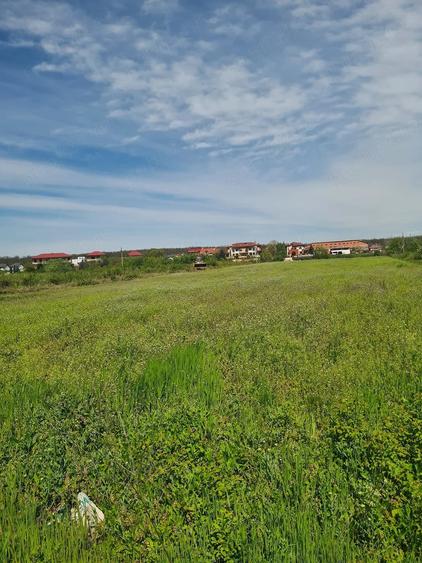 Teren de 618 mp, în Mogoșoaia