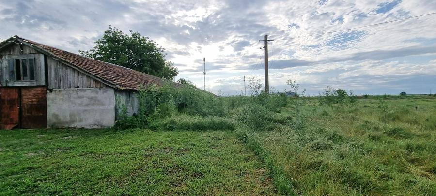 Teren Construcții intravilan de 10000 mp, în Nord-Est
