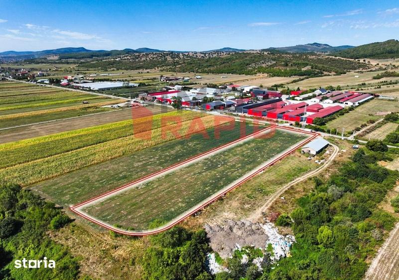 TEREN EXTRAVILAN DE VANZARE LIVEZILE, STR. CRUCI - 3