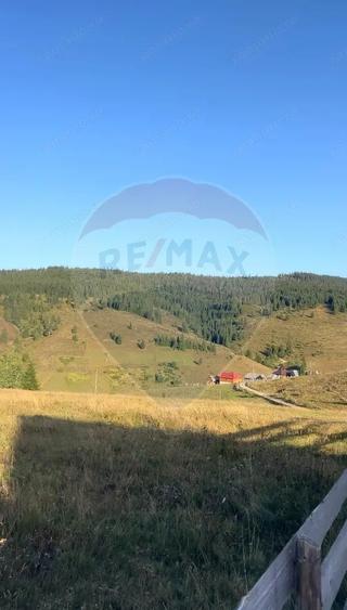 Teren de 4914 mp, în Giurcuța de Sus