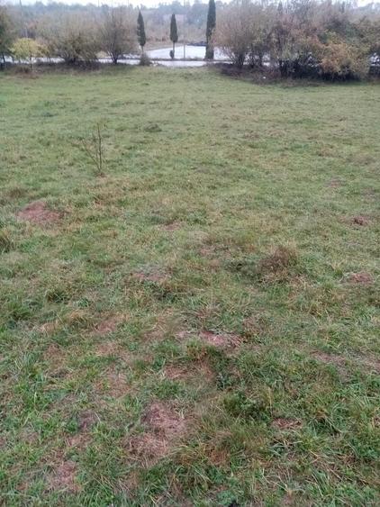 Teren de 2167 mp, în Tărlungeni