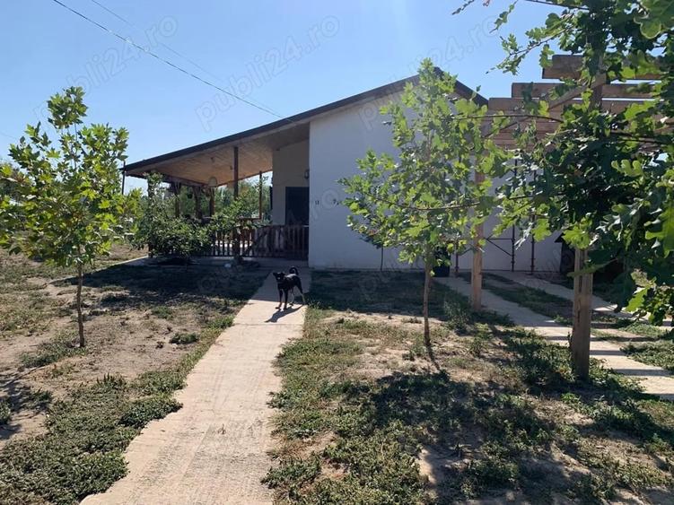 Casă cu 2 camere cu Teren 1250 Mp în Cămineasca