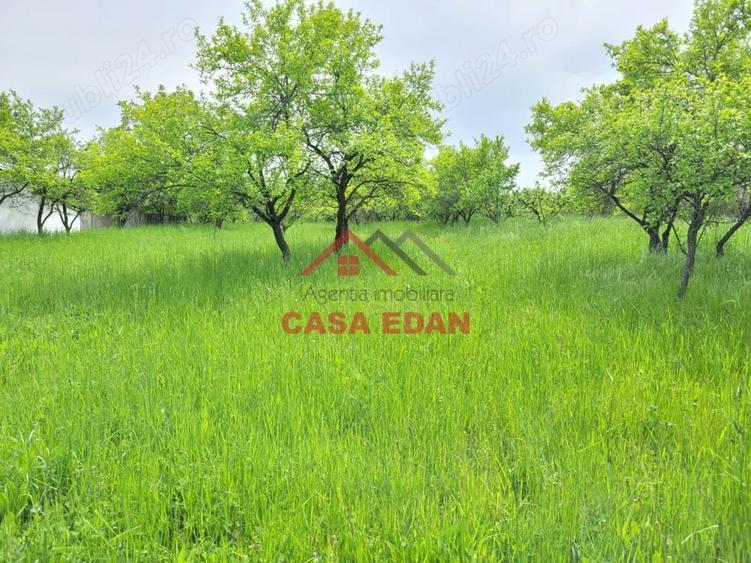 Casă cu Teren 3999 Mp în Scorțeni