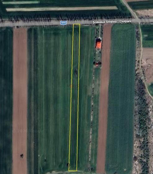 Teren agricol extravilan de 8500 mp, în Siliștea Snagovului