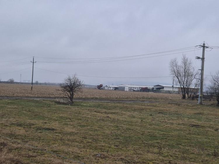 Teren agricol extravilan de 11300 mp, în Șelimbăr