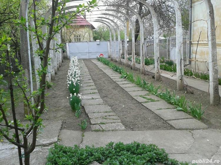 Casă cu 5 camere cu Teren 1800 Mp în Vădastra